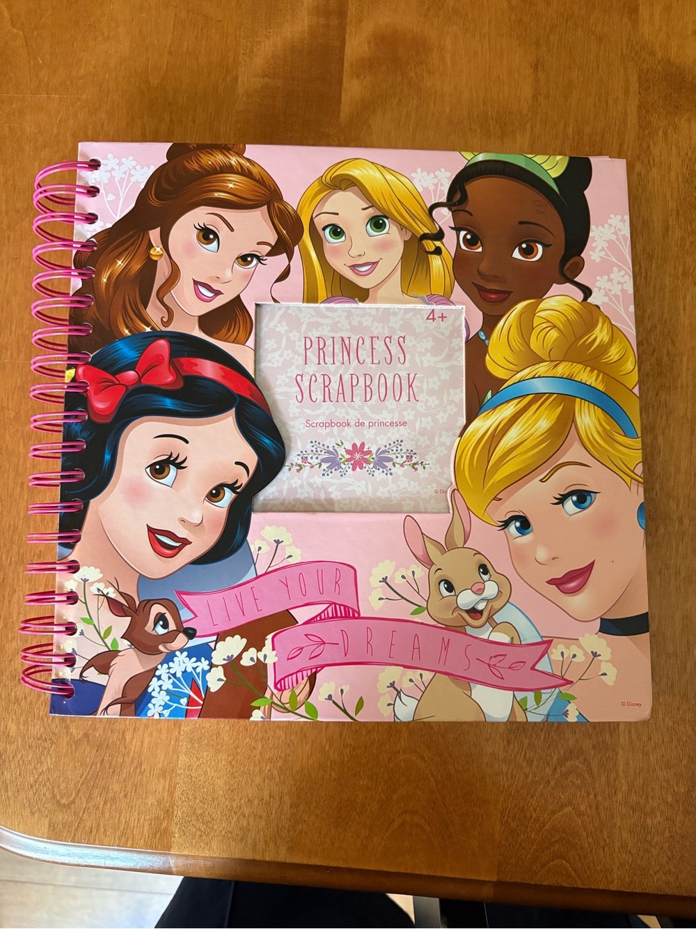 Disney Princess Scrapbook in Pink with Multicolor Artwork